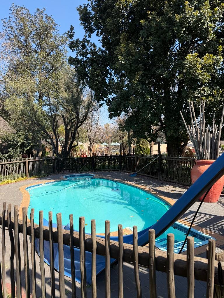 Swimming pool surrounded by trees