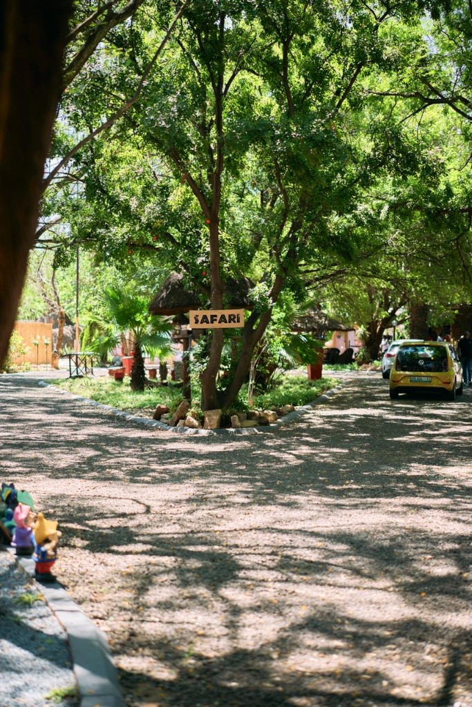 Shaded driveway with Safari sign among the trees